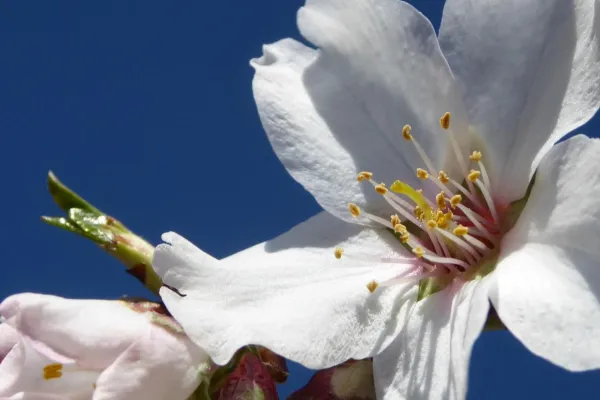 Frühling, die schönste Jahreszeit, wenn doch dieser Heuschnupfen nicht wäre….