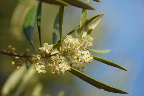 Frühling – eine bewegte Zeit